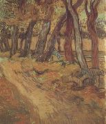 Vincent Van Gogh The Garden of Saint-Paul Hospital with Figure (nn04) Germany oil painting reproduction